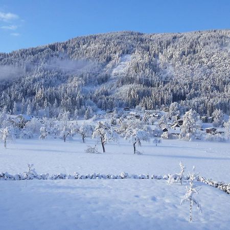 Apartment-Ferienwohnung 3 Treffen Am Ossiachersee エクステリア 写真